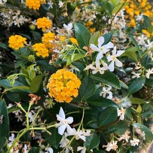 Meet your Posher, Uyanga